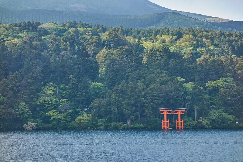 Cổng torii và rừng quanh đền Hakone nhìn từ hồ