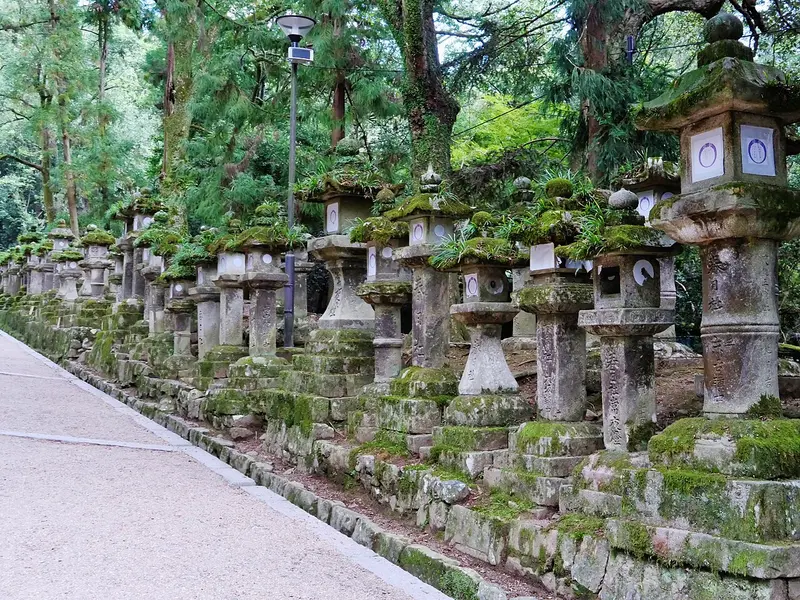 Hàng đèn đá Kasuga Taisha (10/2023)